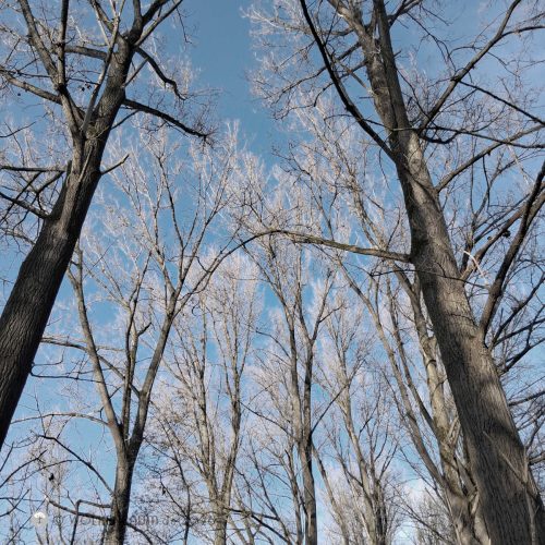 winterluft